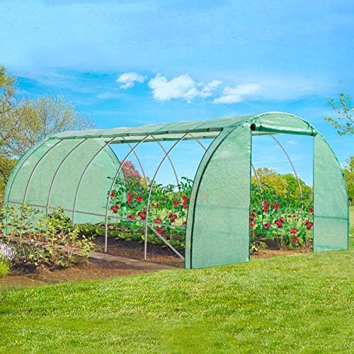 Serre Tunnel de Jardin 24M²  8x3M Verte Gamme Maraîchère - VERA