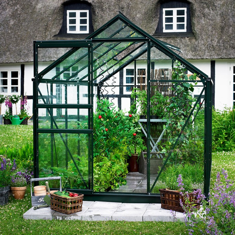 Serre de Jardin 5m² en Verre Horticole - POPULAR