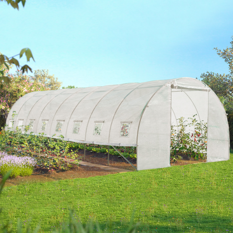 Serre Tunnel de Jardin 4 Saisons 24M² 8x3M Blanche Gamme Maraîchère - VERA