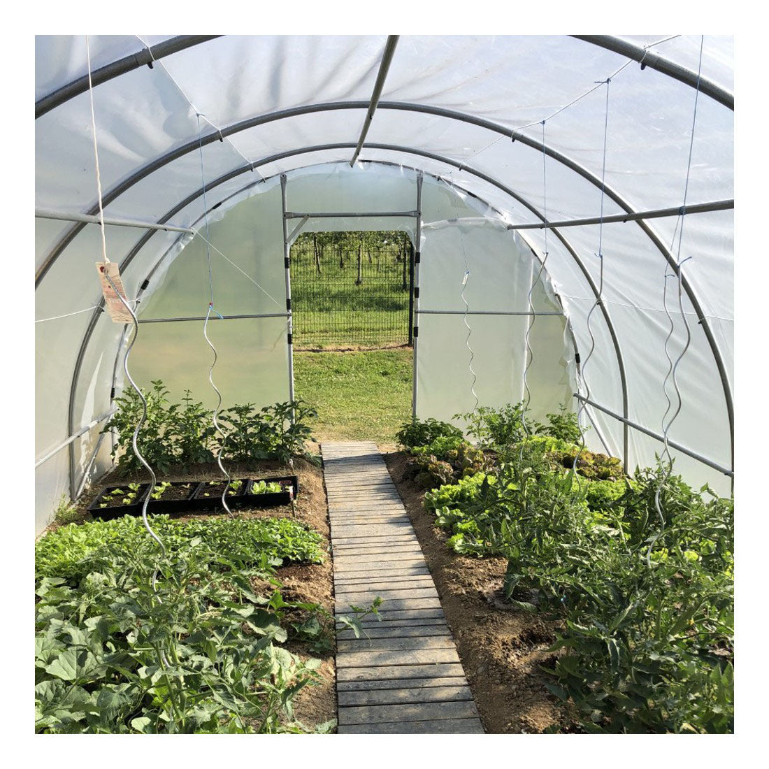 Serre Tunnel de Jardin 28M² avec 2 Portes - LONGO