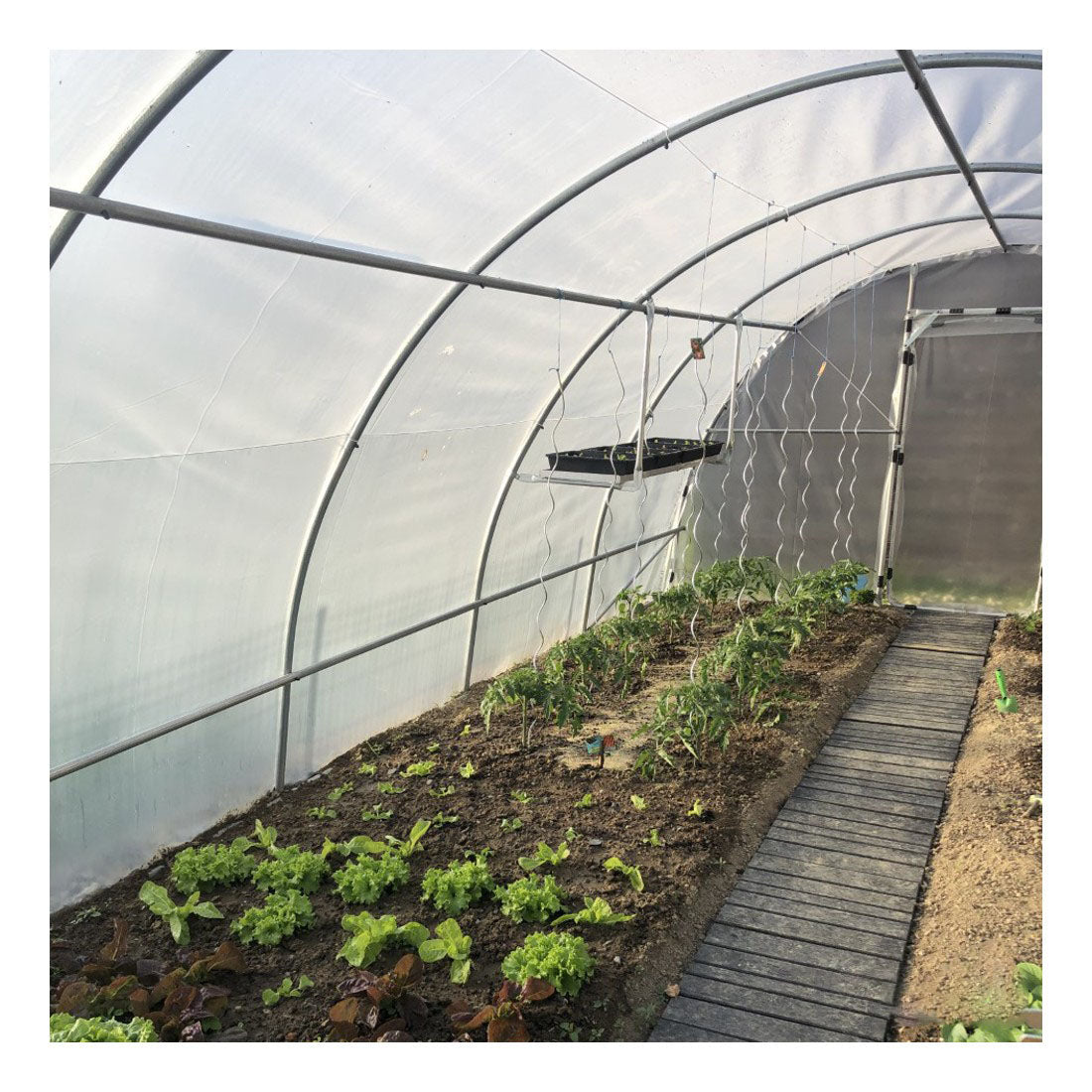 Serre Tunnel de Jardin 28M² avec 2 Portes - LONGO